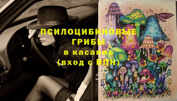 синтетический гашиш Горнозаводск