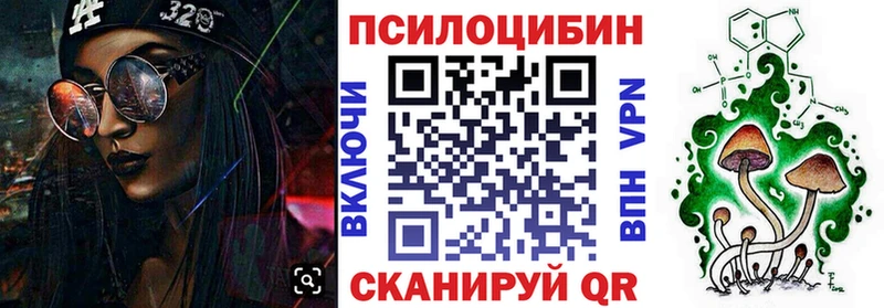 Галлюциногенные грибы Psilocybine cubensis  Медногорск 