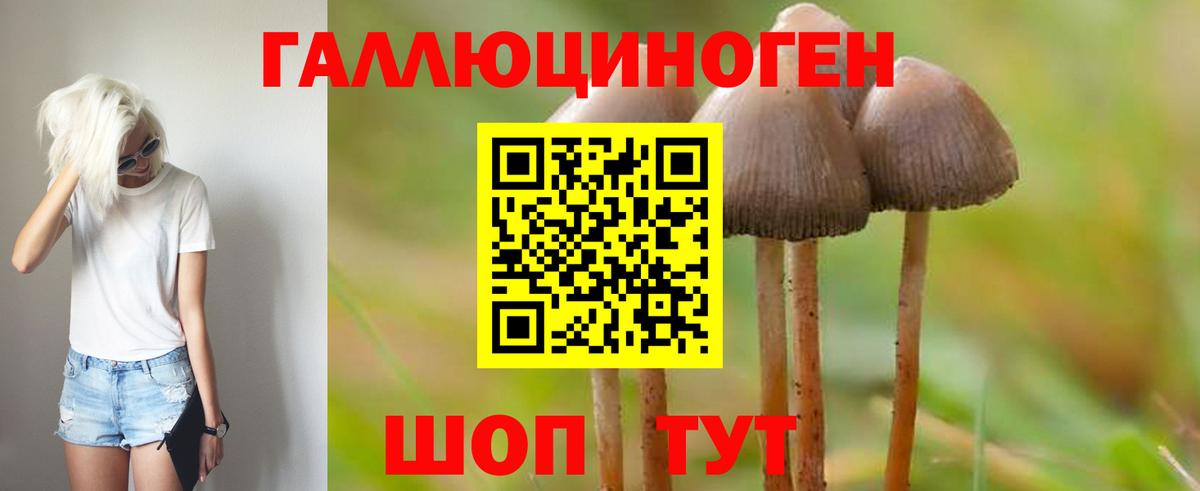 Псилоцибиновые грибы Magic Shrooms  Галлюциногенные грибы Magic Shrooms  цена наркотик  Медногорск 